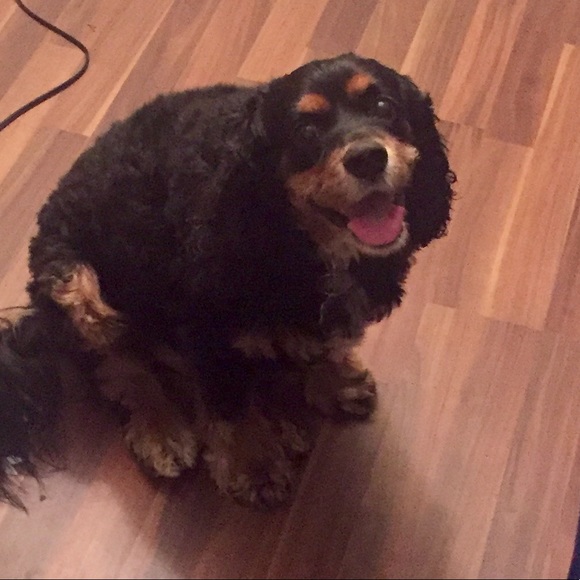 Meet your Posher, Kaylin - Picture 1 of 1